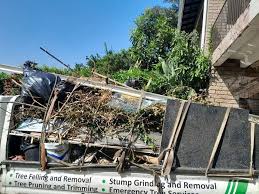 Best Construction Debris Removal  in Black Jack, MO